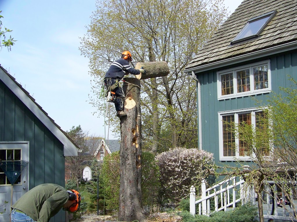 Skyline Tree Service Limited | 5095 Wixson St, Claremont, ON L1Y 1B6, Canada | Phone: (905) 649-3778