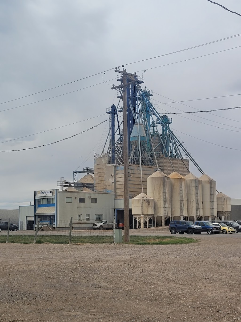 Masterfeeds | 6015 54 Ave, Taber, AB T1G 1X4, Canada | Phone: (403) 223-4444