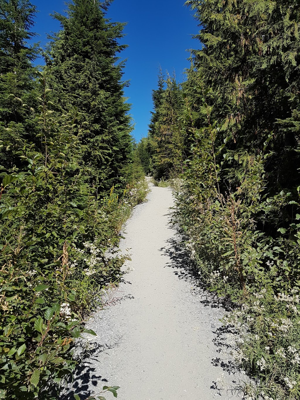 Howe Sound Crest Trail | West Vancouver, BC V0N 1G0, Canada