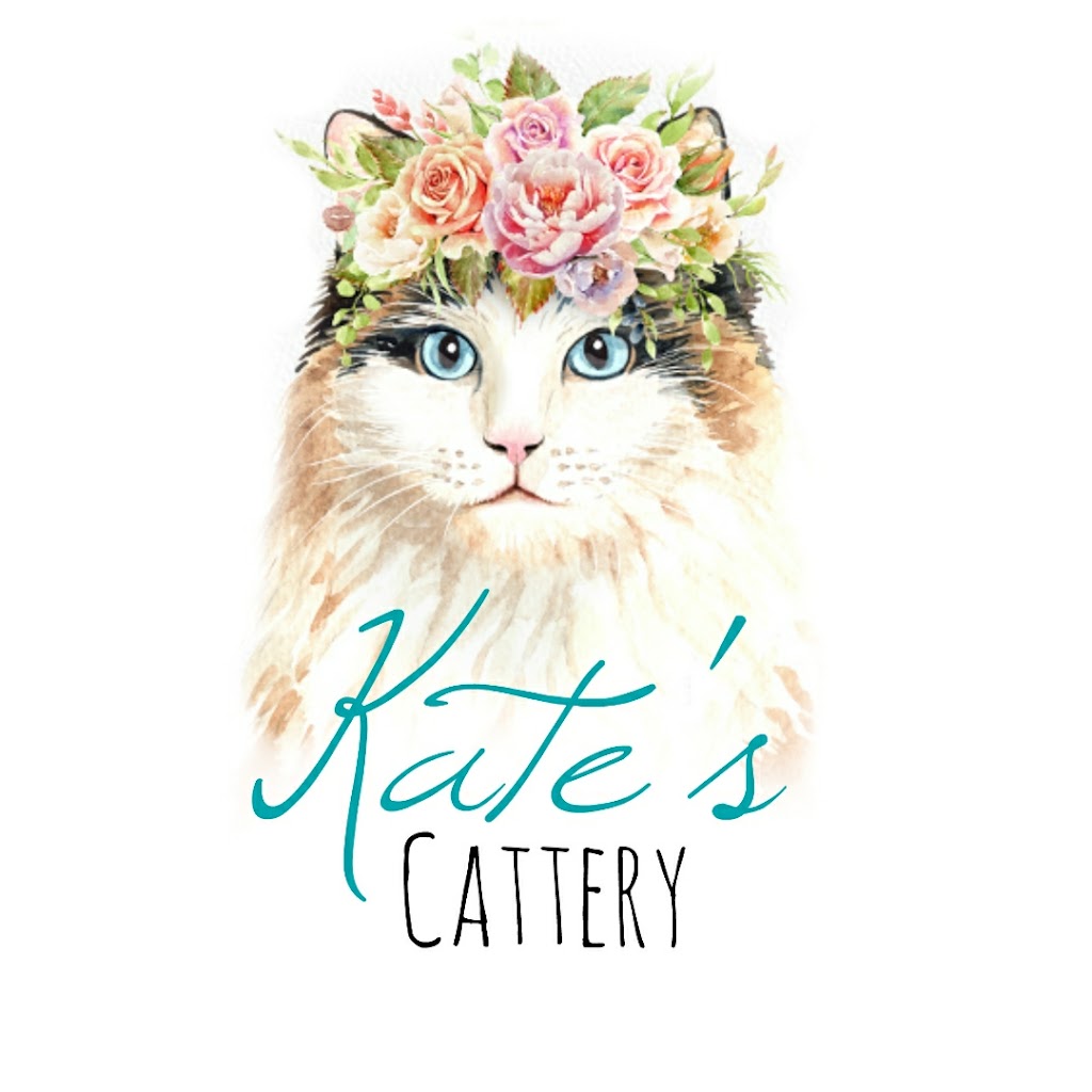 Kates Cattery | 121097, Side Rd 12, Tara, ON N0H 2N0, Canada | Phone: (519) 502-0966