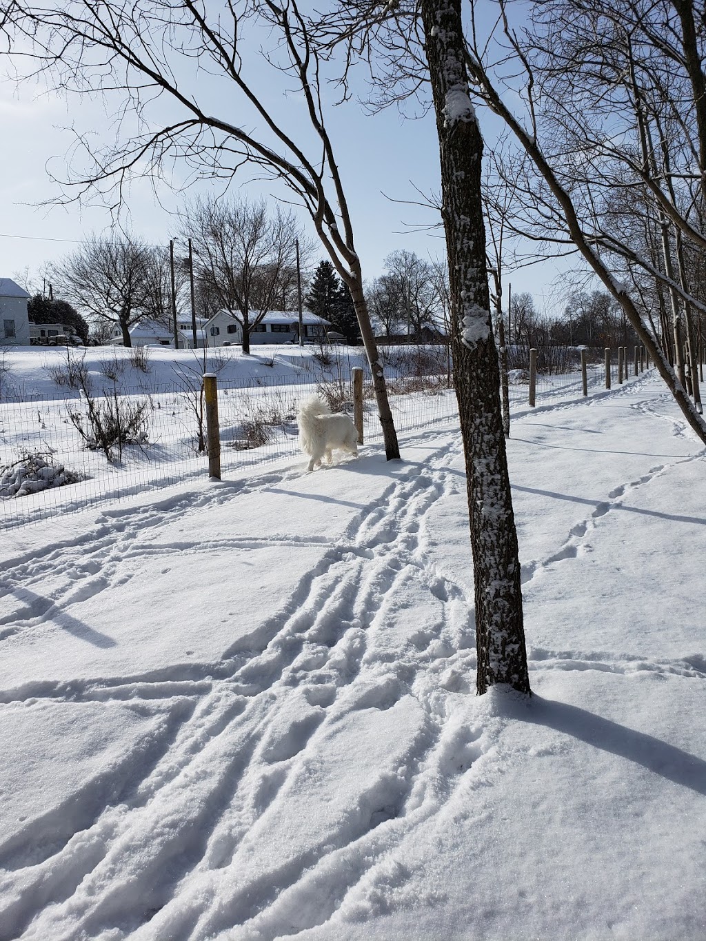 Lawson Trail | Lawson Trail, Ingersoll, ON N5C 2K8, Canada