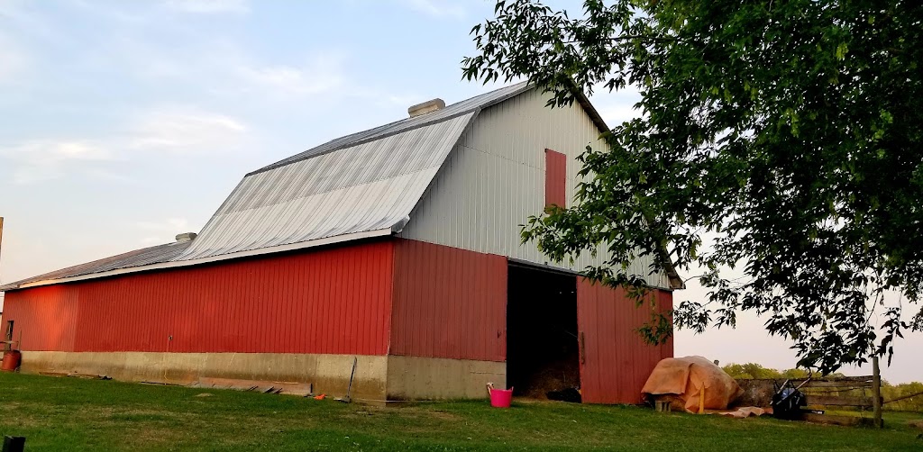 SweetHaven Farm | 583 Poonamalie Side Rd, Smiths Falls, ON K7A 4S4, Canada | Phone: (613) 207-3780