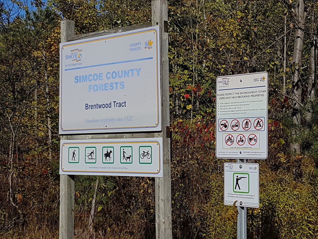 Simcoe County Trail Brentwood Tract | Adjala-Tosorontio, ON L0M 1N0, Canada