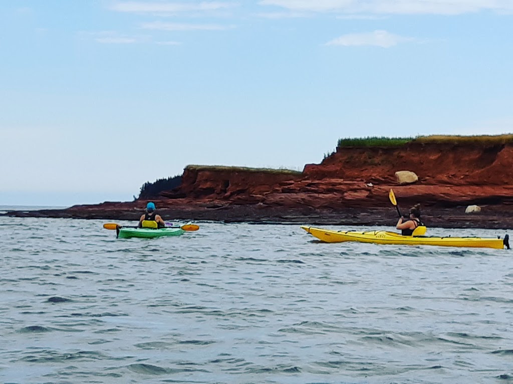 Malpeque Bay Kayak Tours | H75X+J9, Lower Malpeque, PE C0B 1M0, Canada | Phone: (902) 439-7885