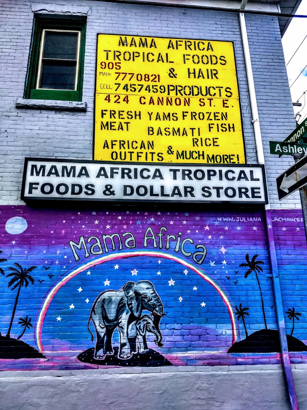 Mama Africa Tropical Foods And Dollar Store | 115 Ashley St Unit 1, Hamilton, ON L8L 5T2, Canada | Phone: (905) 777-0821