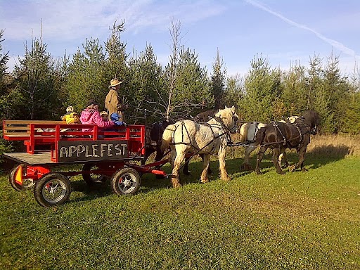 Windsong Carriage & Ranch | 597520 Grey Rd 29, Bognor, ON N0H 1E0, Canada | Phone: (519) 376-1518