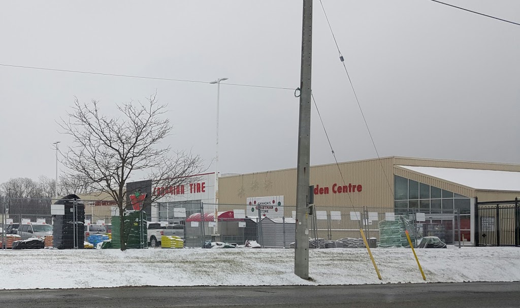 Canadian Tire - Dunnville, ON | 1002 Broad St E, Dunnville, ON N1A 2Z2, Canada | Phone: (905) 774-7545