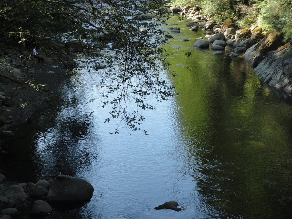 Lower Seymour Conservation Reserve | 2369 Lillooet Rd, North Vancouver, BC V7J 2H9, Canada | Phone: (778) 452-4583