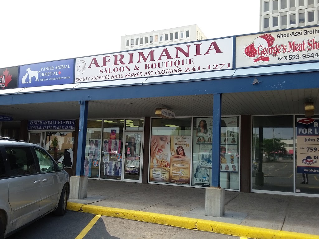 Afrimania Braids & Beauty | 23 Selkirk St, Vanier, ON K1L 6N1, Canada | Phone: (613) 241-1271