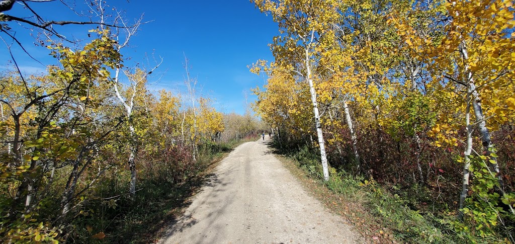 Bison Butte Mountain Bike Course | Tuxedo Industrials, Winnipeg, MB R3P 1J9, Canada | Phone: (204) 989-8355