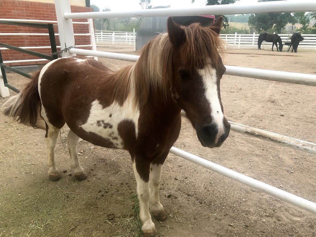 Remington Carriage Museum | 623 Main St, Cardston, AB T0K 0K0, Canada | Phone: (403) 653-5139