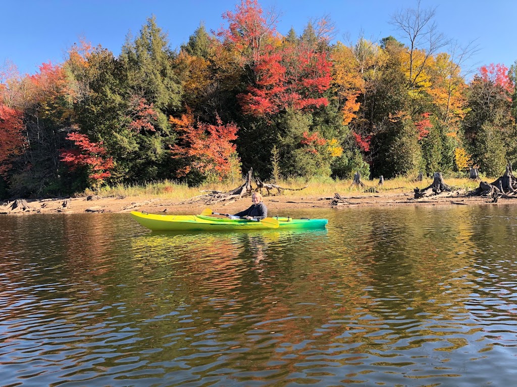 Sawyers Creek Bed & Breakfast | 1039 Busy Rd, Algonquin Highlands, ON K0M 1J1, Canada | Phone: (416) 239-3971