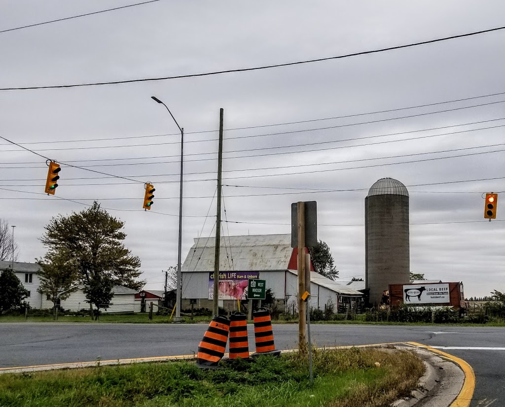 Buis Beef | 7792 Seventh Line E, Chatham, ON N7M 5J6, Canada | Phone: (519) 352-5789