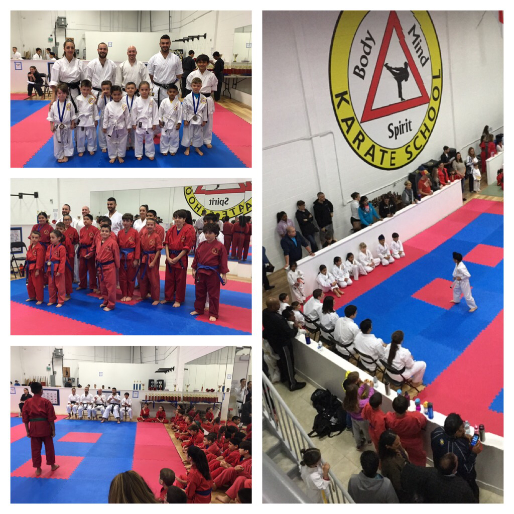 BMS Karate | 71 Innovation Dr, Woodbridge, ON L4H 0S3, Canada | Phone: (905) 851-3555