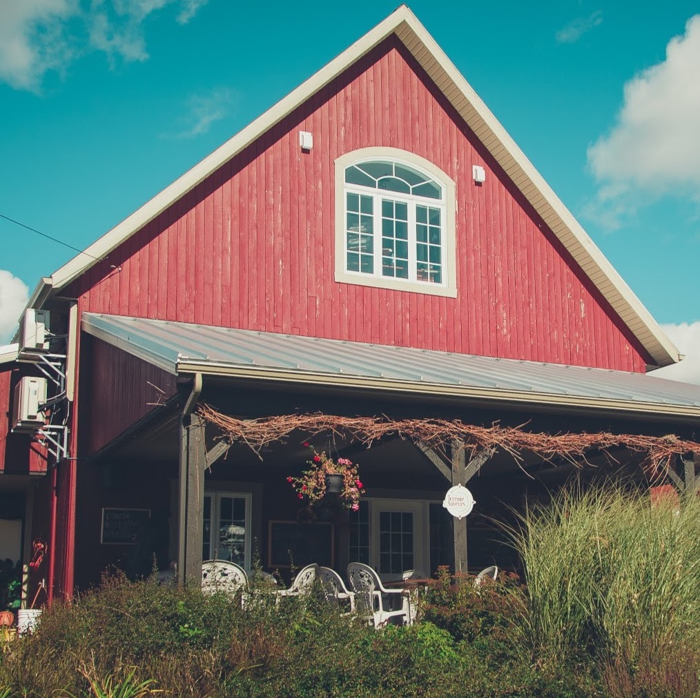 Domaine & Vins Gélinas | 267 Rang de Saint-François-de-Pique-Dur, Saint-Sévère, QC G0X 3B0, Canada | Phone: (819) 264-5511