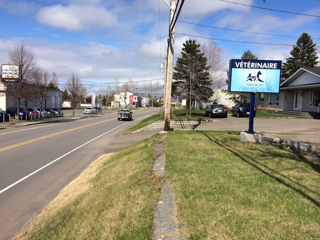 Clinique Vétérinaire Du Kamouraska | 1301 4e Avenue Painchaud, La Pocatière, QC G0R 1Z0, Canada | Phone: (418) 856-3450