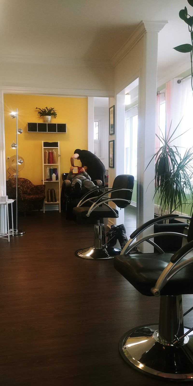 The Revival Salon | 154 Ridge Rd N, Ridgeway, ON L0S 1N0, Canada | Phone: (905) 894-3040