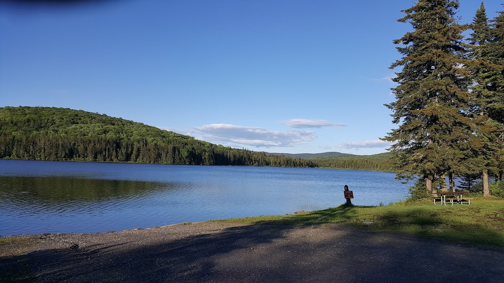 Coleman State Park | 1166 Diamond Pond Rd, Stewartstown, NH 03576, USA | Phone: (603) 237-5382