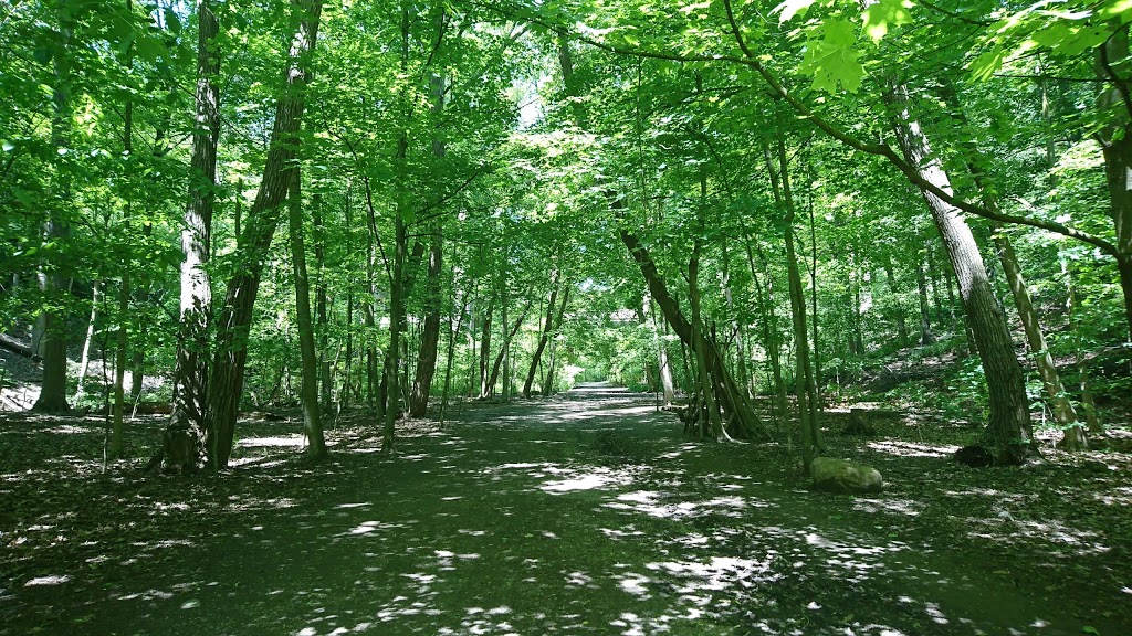 Beltline Trail | Beltline Trail, Toronto, ON M4T 2A4, Canada