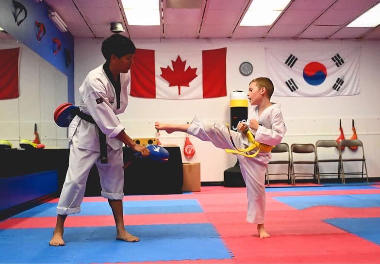 Alpha Martial Arts World | 110 Little Ave, Barrie, ON L4N 4K8, Canada | Phone: (416) 474-3840