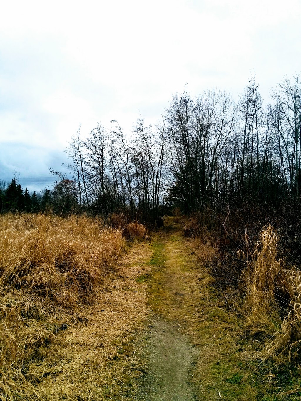 Foster Woods - Parking Lot | Kleinburg, ON L0J 1C0, Canada