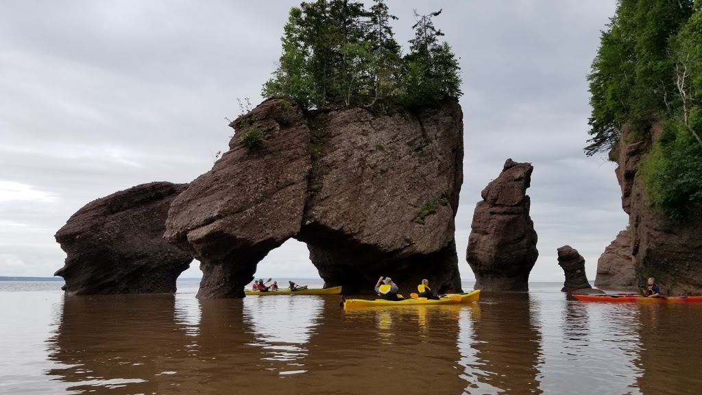 Baymount Outdoor Adventures | Rocks Rd, Hopewell Cape, NB E4H 4Z5, Canada | Phone: (506) 734-2660