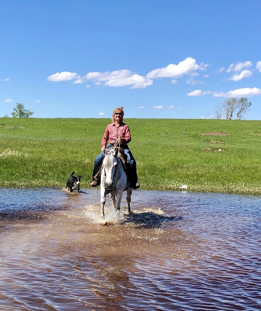 SR Horse Training | NW 17-9-26 W4, Macleod, AB T0L 0Z0, Canada | Phone: (403) 331-8440