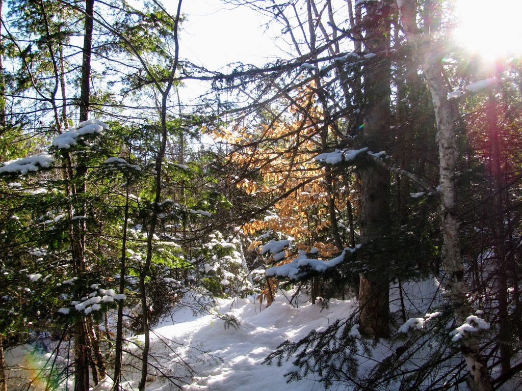 Sentiers de lAmitié | Avenue de lAmitié, Chertsey, QC J0K 3K0, Canada