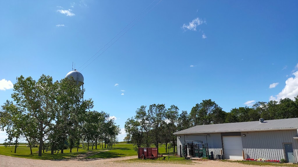 Ogema Regional Park & Campground | 101 Government Road, Ogema, SK S0C 1Y0, Canada | Phone: (306) 861-9980