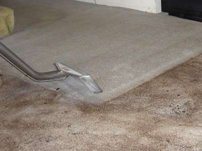 A1 Expert Carpet Cleaning Surrey | 15655 107 Ave, Surrey, BC V4N 3H8, Canada | Phone: (604) 442-6405