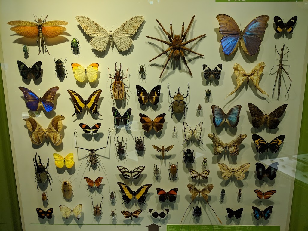 Montreal Insectarium | 4581 Rue Sherbrooke E, Montréal, QC H1X 2B2, Canada | Phone: (514) 868-3000