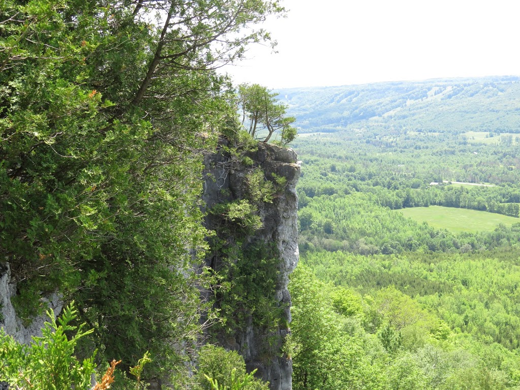 Old Baldy Conservation Area | 120 Old Baldy Access Rd, Kimberley, ON N4K 5N6, Canada | Phone: (519) 376-3076