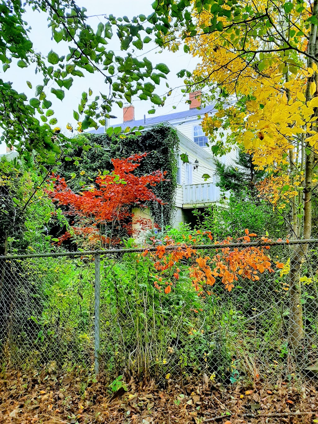 Perkins House Museum | 105 Main St, Liverpool, NS B0T 1K0, Canada | Phone: (902) 354-4058