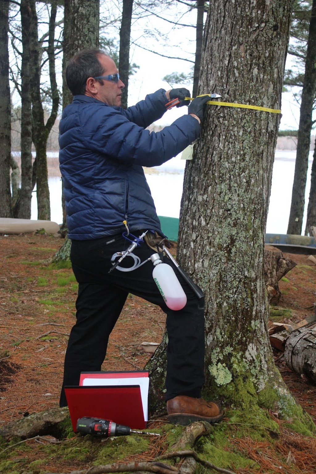 Nova Scotia Tree Preservation Company | 2740 NS-203, Shelburne, NS B0T 1W0, Canada | Phone: (902) 875-7686