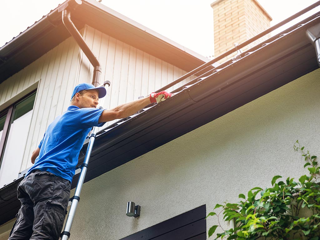 Best Window And Gutter Cleaning | Servus place, St. Albert, AB T8N 0R8, Canada | Phone: (780) 289-6303