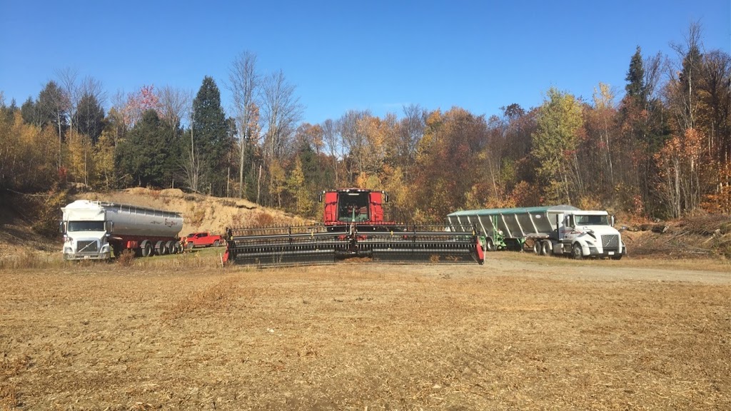 Ferme Porcité | 87 Rang du Bas-Saint-Jacques, Saint-Elzéar, QC G0S 2J0, Canada | Phone: (418) 805-8265