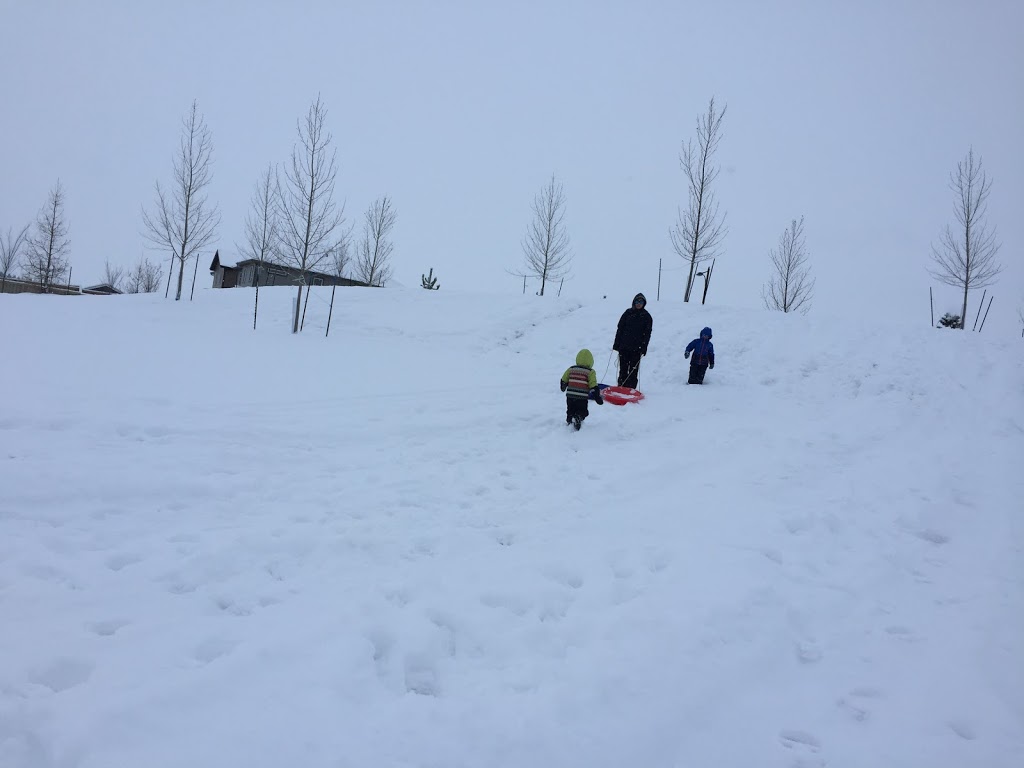 Playground | Allard, Edmonton, AB T6W 1A8, Canada