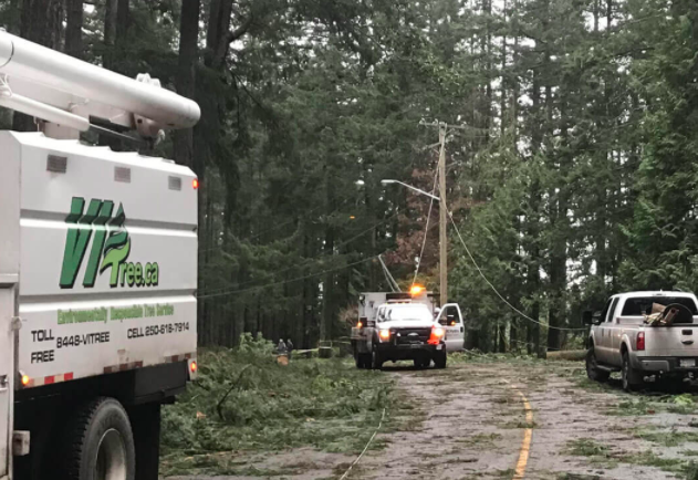 VI Tree Service | 1495 Wilson Rd, Nanaimo, BC V9R 6R3, Canada | Phone: (844) 884-8733