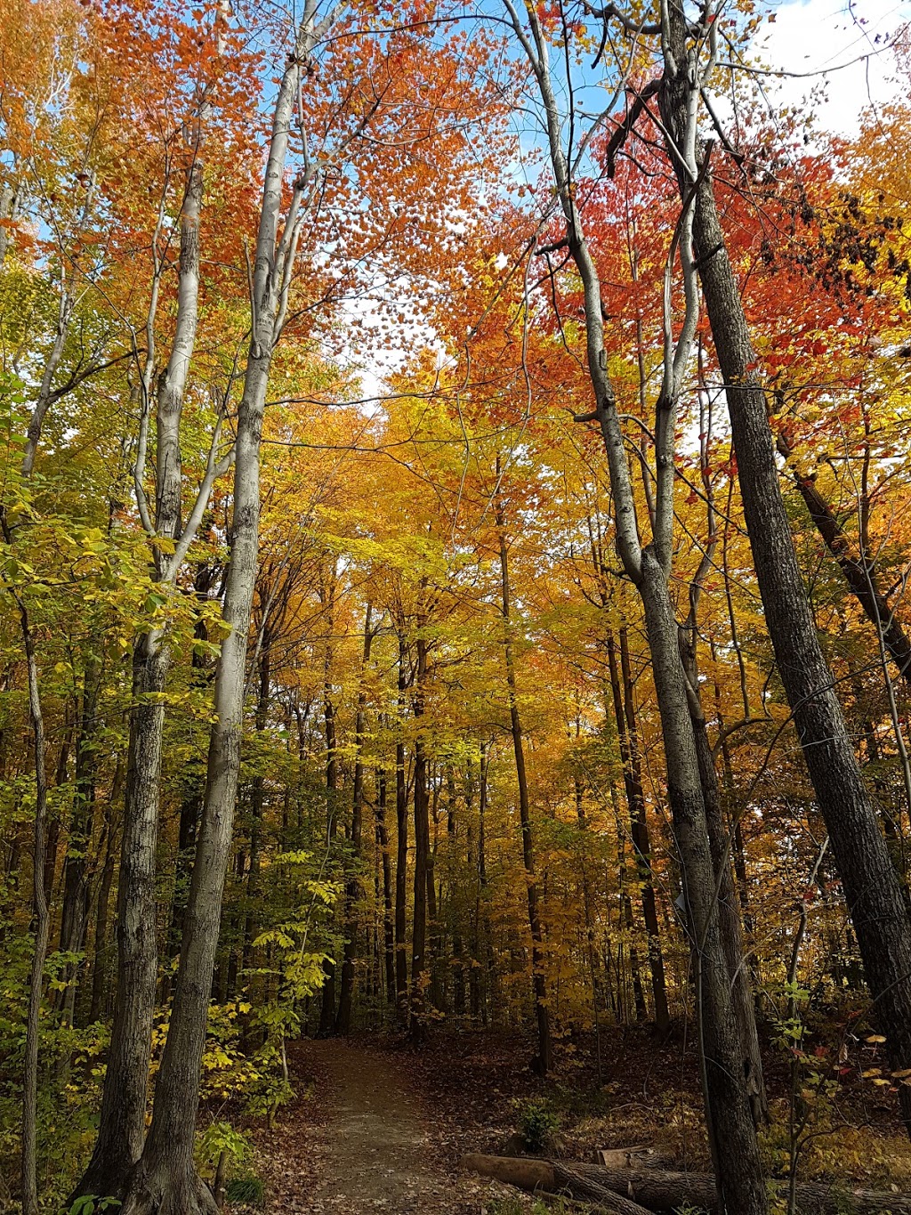 Parc Naturel des Parulines | 166 Chemin du Clocher, Saint-Jean-sur-Richelieu, QC J3B 7B2, Canada | Phone: (450) 359-2400