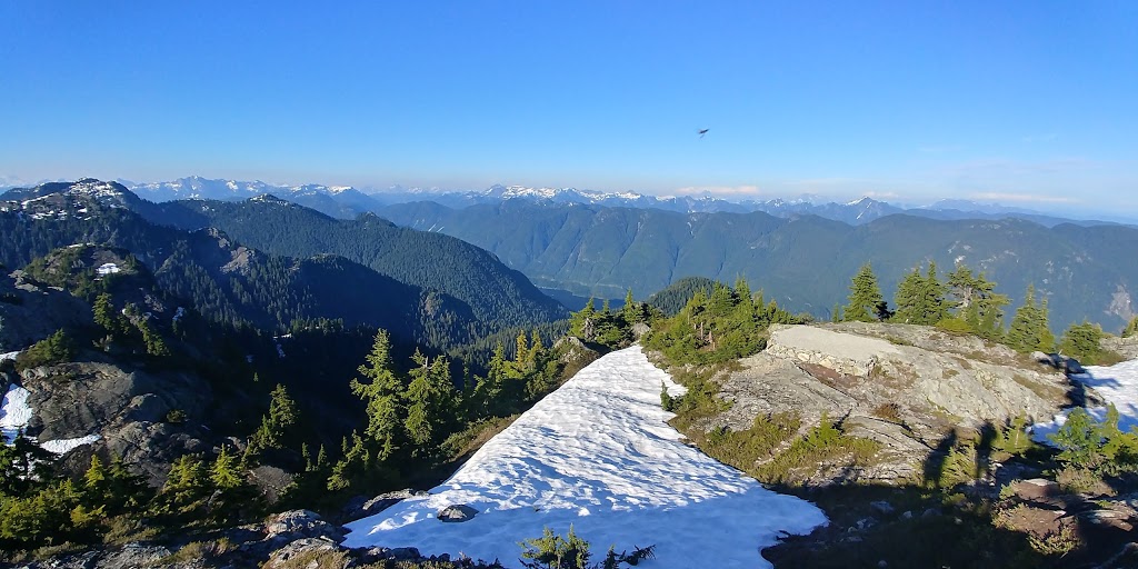 Mount Seymour Provincial Park | Mt Seymour Rd, North Vancouver, BC V7G 1L3, Canada | Phone: (604) 986-9371