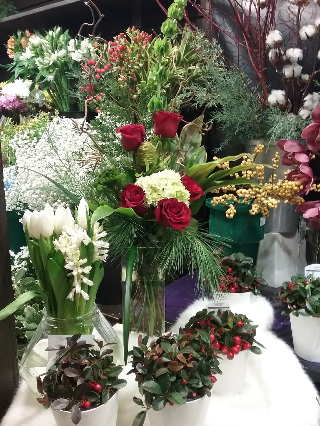 Fleuriste Fleurs de Cactus | 317 Boulevard Sir-Wilfrid-Laurier, Mont-Saint-Hilaire, QC J3H 3N8, Canada | Phone: (450) 464-0340