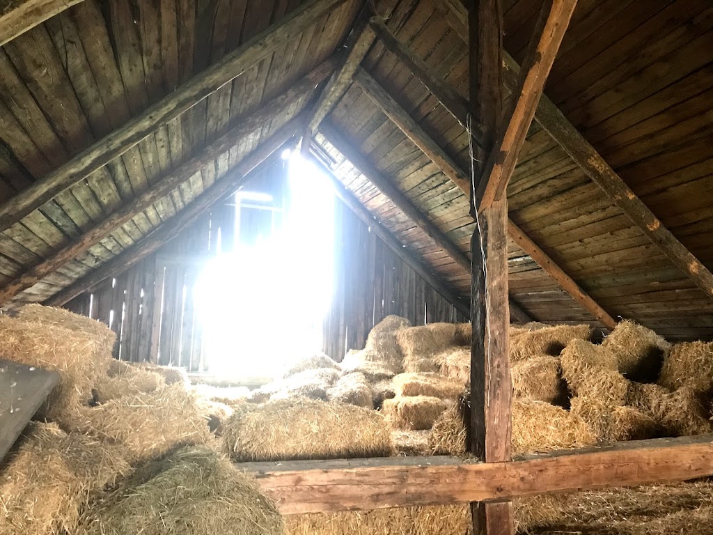 Jean-Luc Boily, artisan-récupérateur, meubles et bois de grange | 925 Rang 3, Saint-Prime, QC G8J 1X4, Canada | Phone: (418) 518-0190