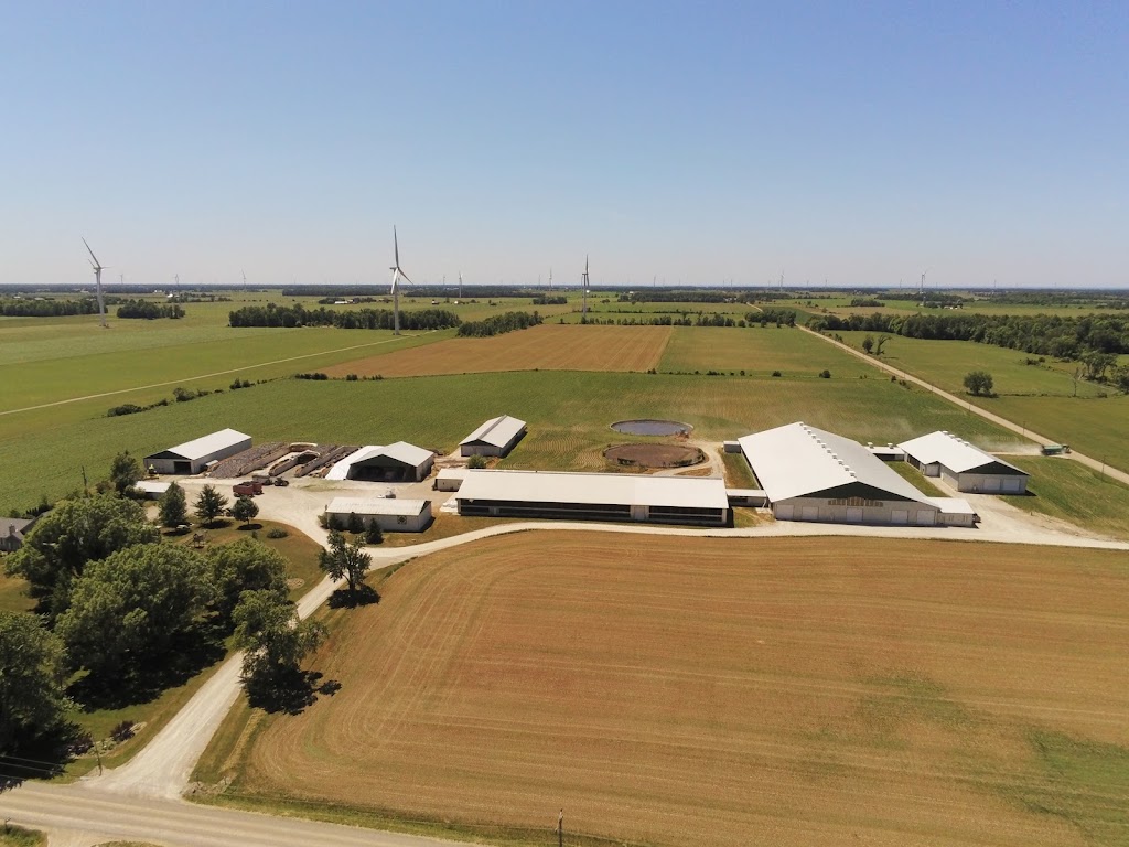 Four Clover Dairy Inc | 8157 Jericho Rd, Thedford, ON N0M 2N0, Canada | Phone: (519) 381-4637