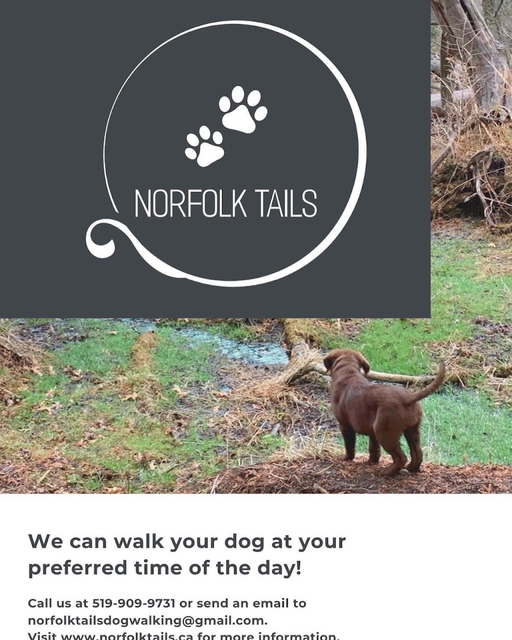 Norfolk Tails | 20 Donly Dr S, Simcoe, ON N3Y 5G7, Canada | Phone: (519) 909-9731