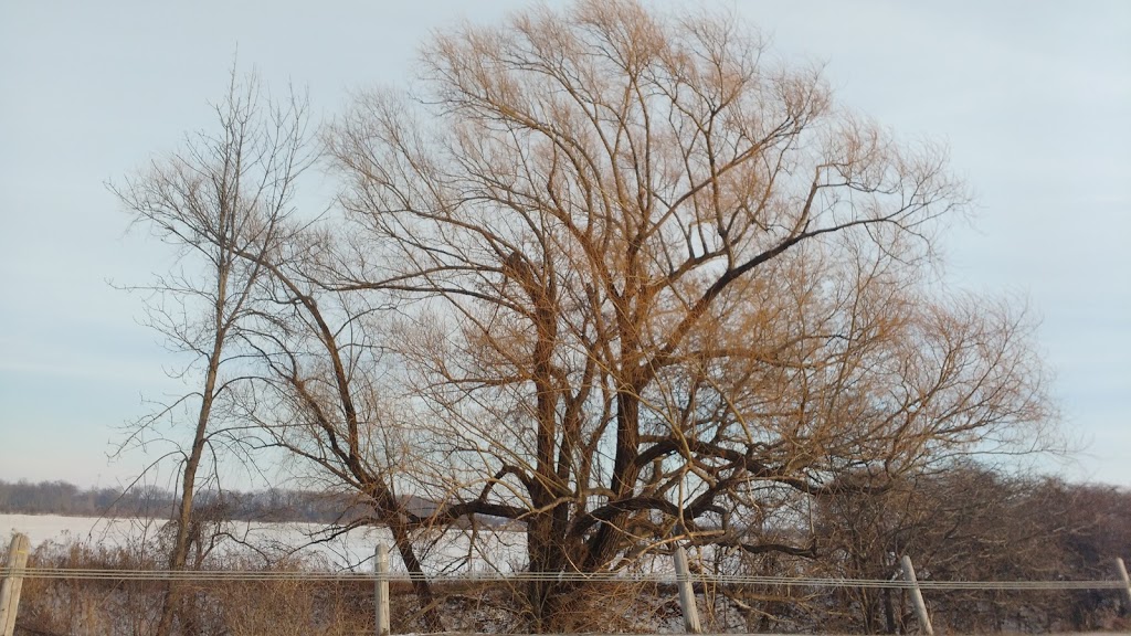 Dennis Rupert Nature Preserve | Brigden Rd, Sarnia, ON N7T 7H3, Canada