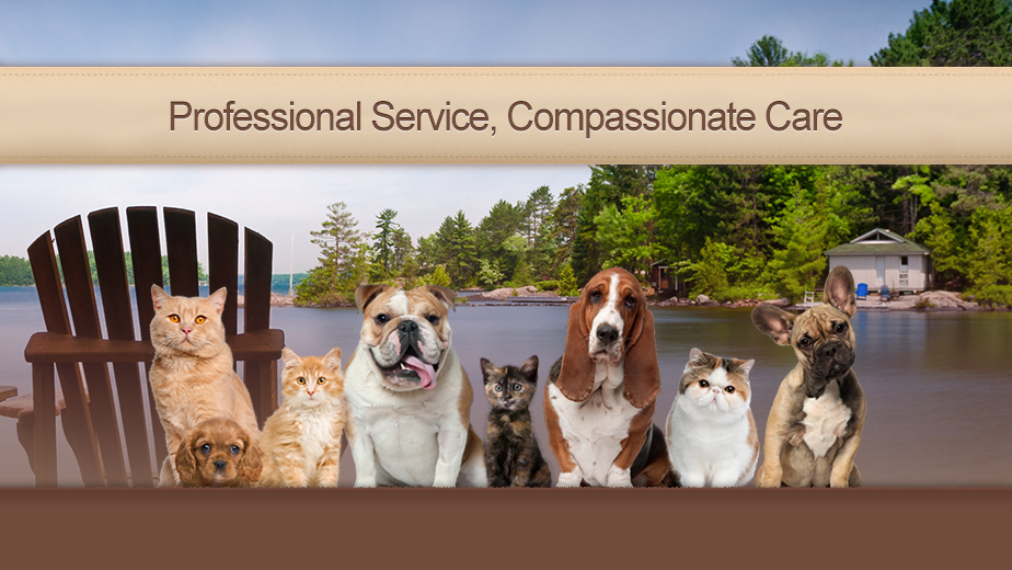 Port Carling Veterinary Services | 155 Medora St, Port Carling, ON P0B 1J0, Canada | Phone: (705) 765-3935