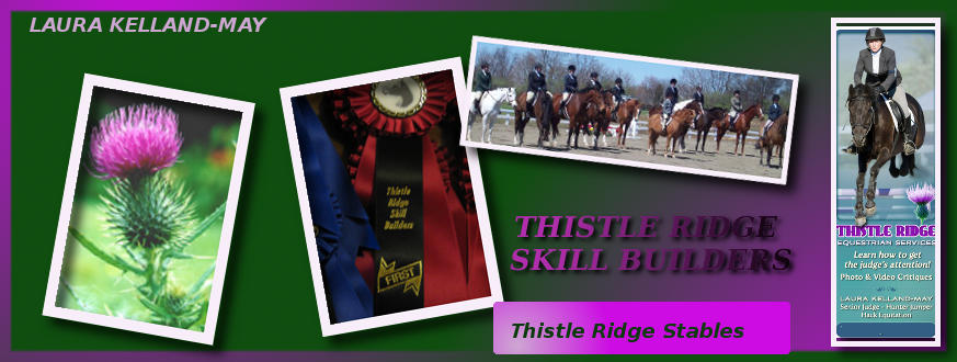 Thistle Ridge Equestrian Services | 3491 Hunt Line Rd, Arnprior, ON K7S 3G7, Canada | Phone: (613) 623-5016