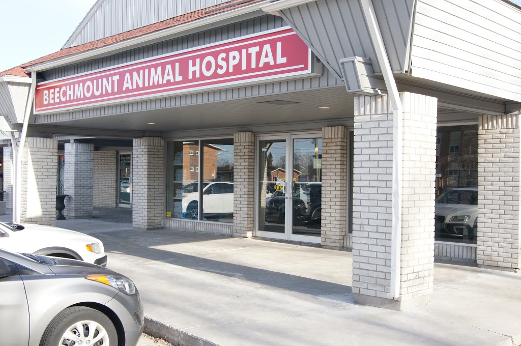 Beechmount Animal Hospital | 355 Erb St W, Waterloo, ON N2L 1W4, Canada | Phone: (519) 888-6590