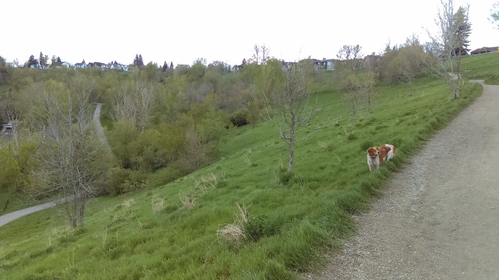 McHugh Bluff Off Leash Dog Park | 797 3 St NW, Calgary, AB T2N 1P1, Canada