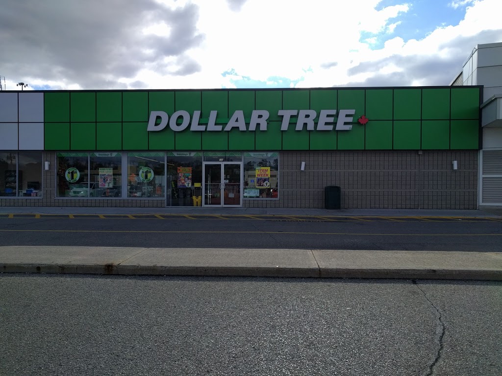 Dollar Tree | 180 Holiday Inn Dr, Cambridge, ON N3C 1Z4, Canada | Phone: (519) 260-0382